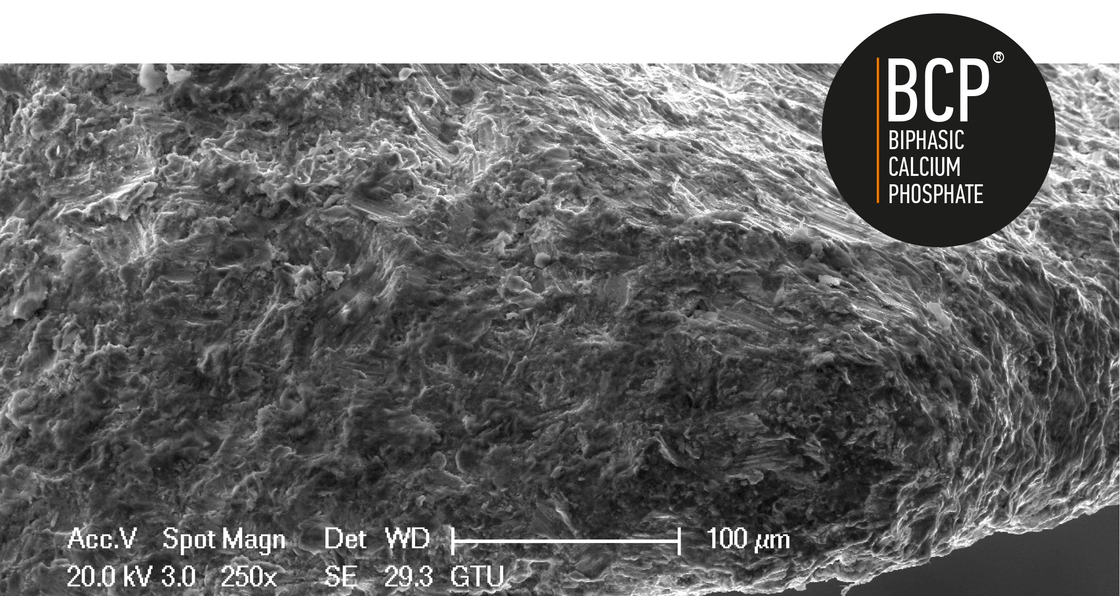 BCP Surface Morphology & Nanotechnology